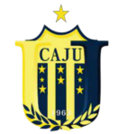 尤文图德乌尔迪